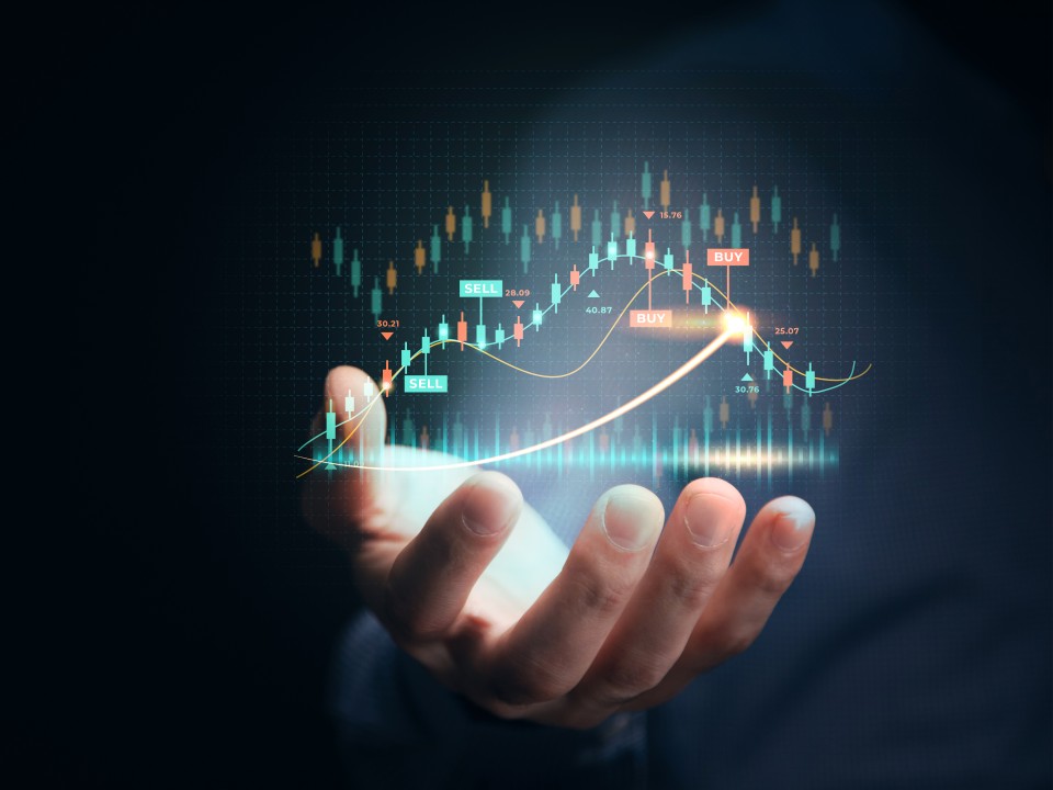 Experience  Advisor